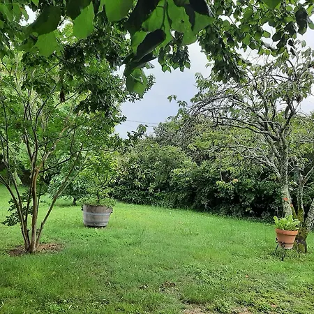 Du Chateau Les Cedres 別荘