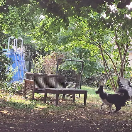 Du Chateau Les Cedres Berson