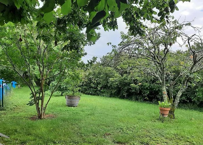 Du Chateau Les Cedres 別荘