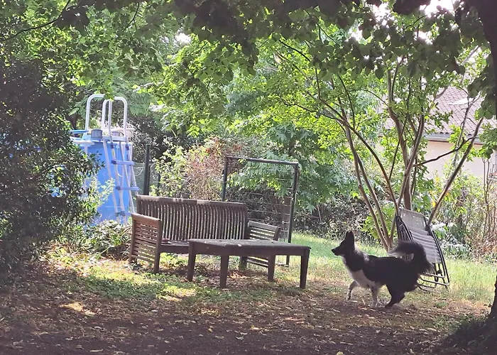 Du Chateau Les Cedres Berson